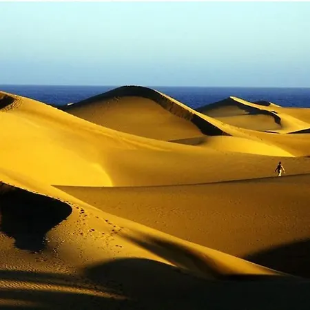 431 Lägenhet Playa del Inglés